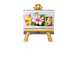 Photos
